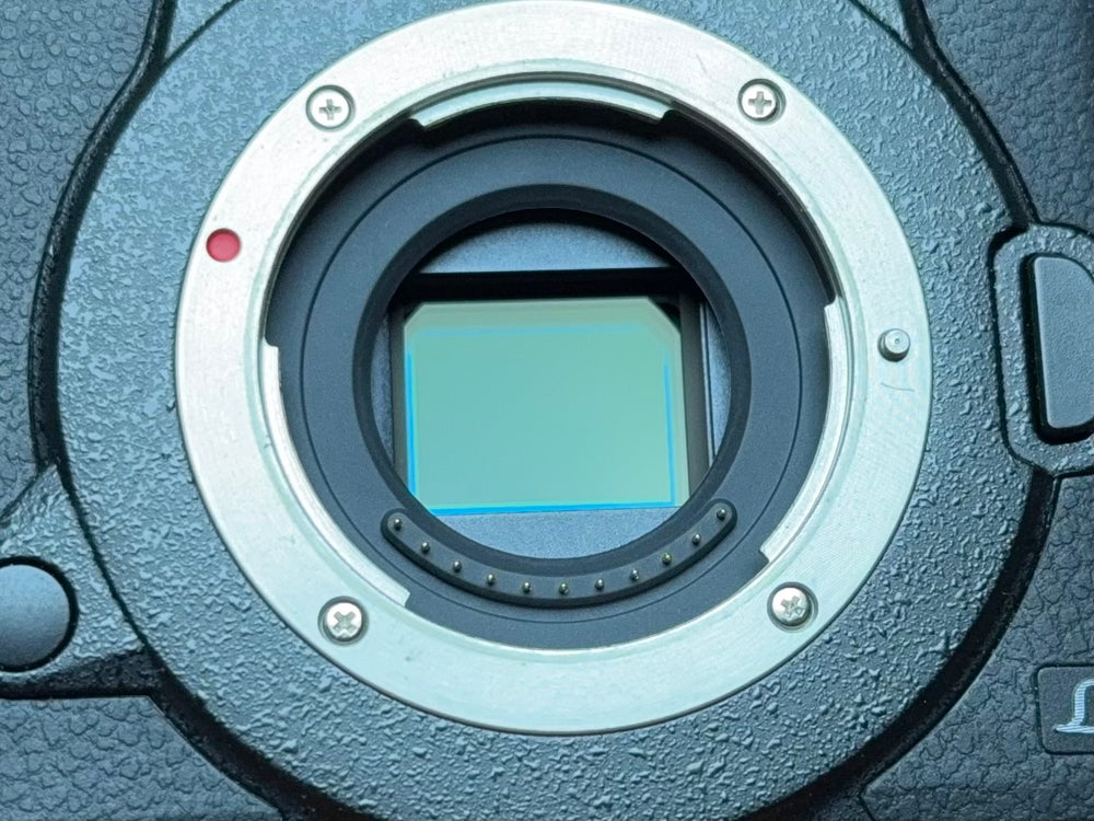 
                      
                        Panasonic LUMIX GH5S
                      
                    