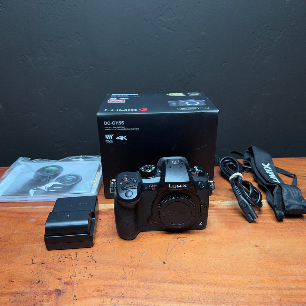 
                      
                        Panasonic LUMIX GH5S
                      
                    