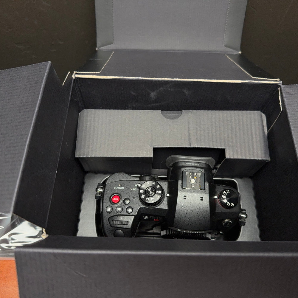 
                      
                        Panasonic LUMIX GH5S
                      
                    