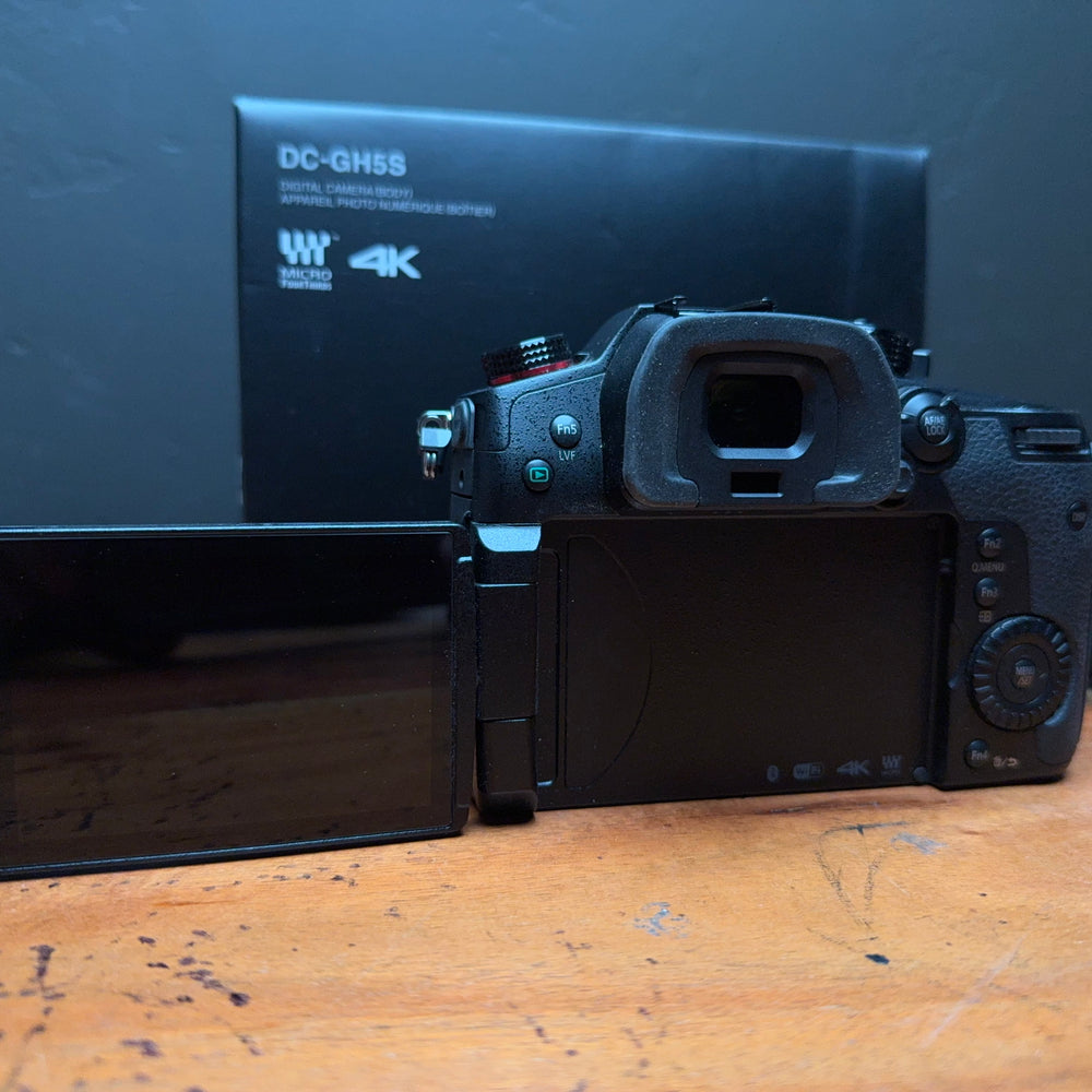 
                      
                        Panasonic LUMIX GH5S
                      
                    